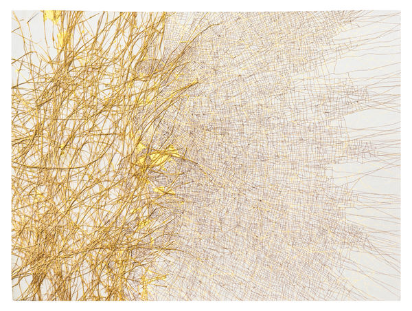 Dhara Mehrotra, Echo VIII, 2024