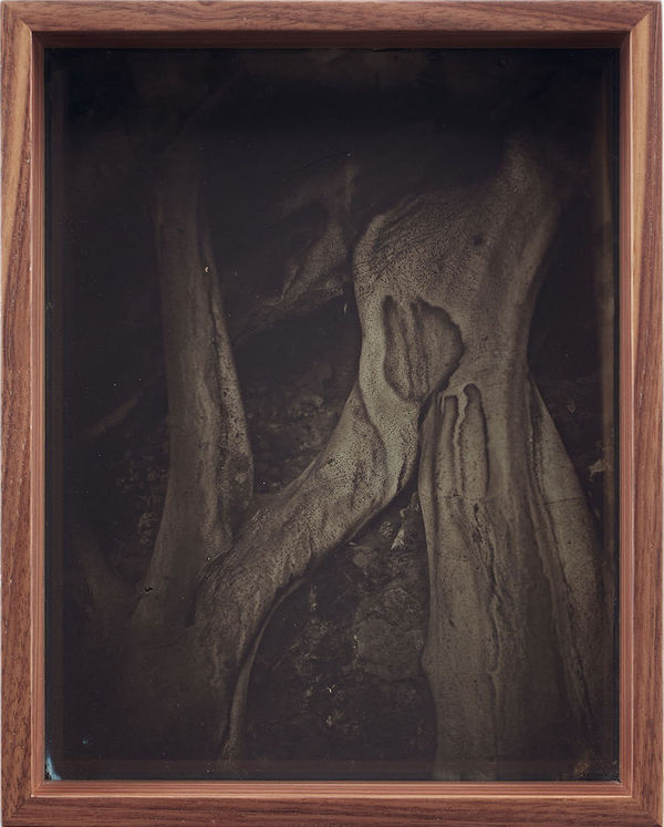 Martín Soto Climent Detail (Collodion 9), 2020