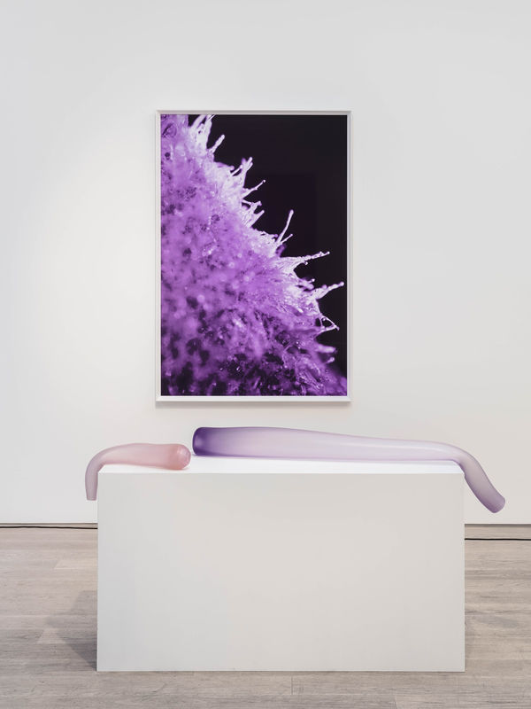 Dana-Fiona Armour Pneumatophore #2 et #4, 2022