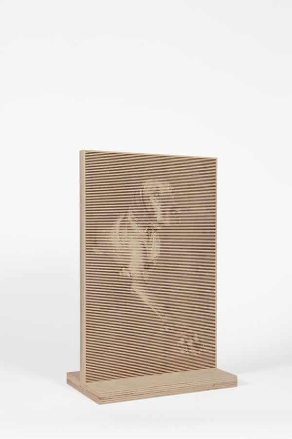 Chien n°1 / Dog n°1