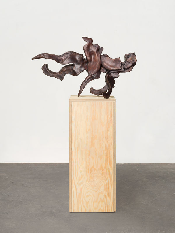 Sally von Rosen CoccyX , 2026