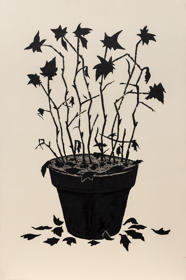 From the series "dead flowers" | Из серии “dead flowers”