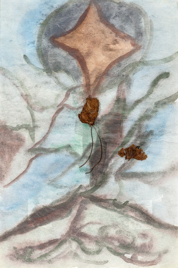 Celestial body | Небесное тело