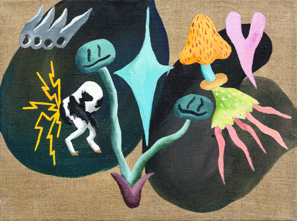 Mushrooms all so different | Такие разные грибы