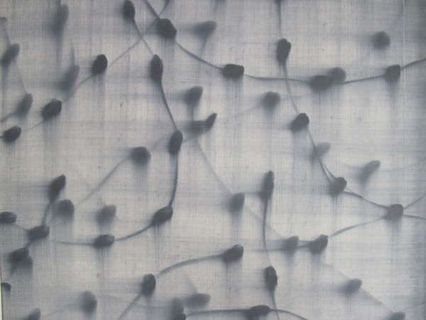 Mark FRANCIS, Untitled, 1996