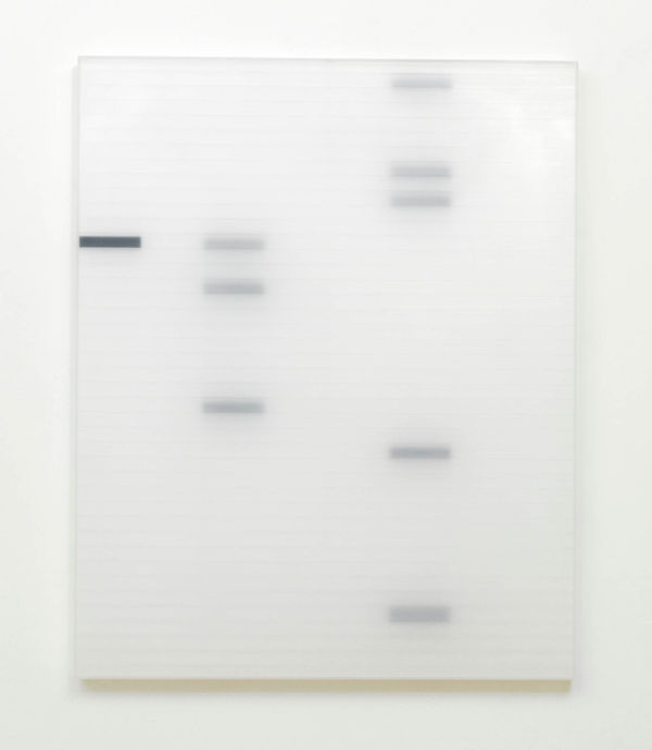 Werner Haypeter, Untitled, 2012
