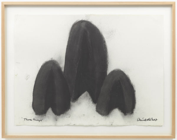 David Nash Three Humps, 2007 charcoal on paper 57 x 76 cm 70 x 88.5 cm framed