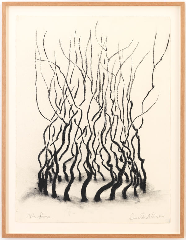 David Nash Ash Dome, 2012 charcoal on paper 76 x 56.5 cm