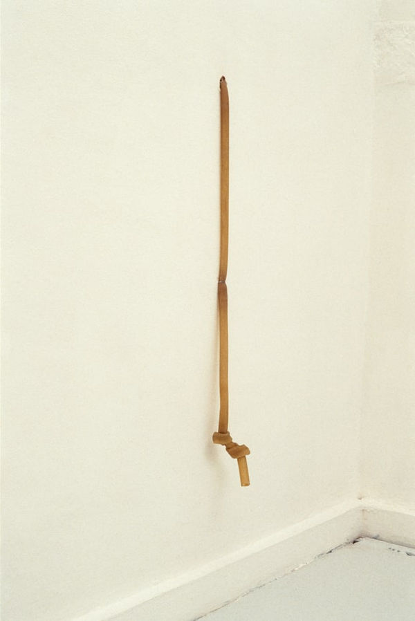 Lucia Nogueira, Untitled (ex-Flecha, rubber knot)