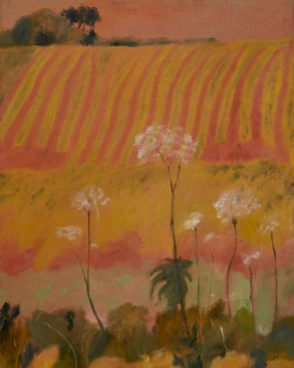 Sammi Lynch Beware the Giant Hogweed, 2024 oil on linen 100 x 80 cm