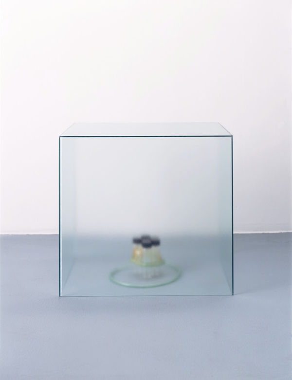 Lucia Nogueira, Hiato, 1990