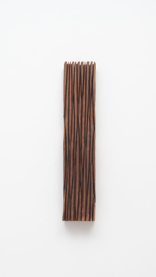David Nash Wall Sheave, 2023 Red Gum 84 x 17 x 10 cm