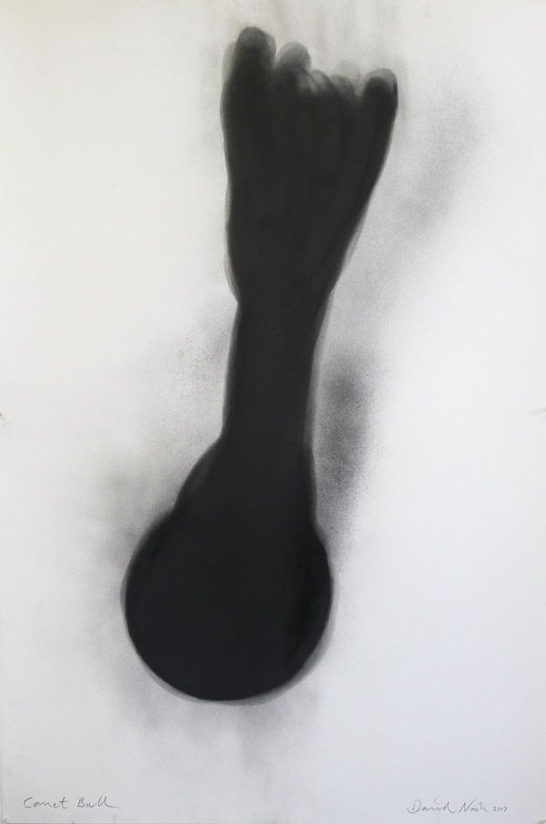 David Nash Comet Ball, 2017 pastel on paper 152 x 103 cm