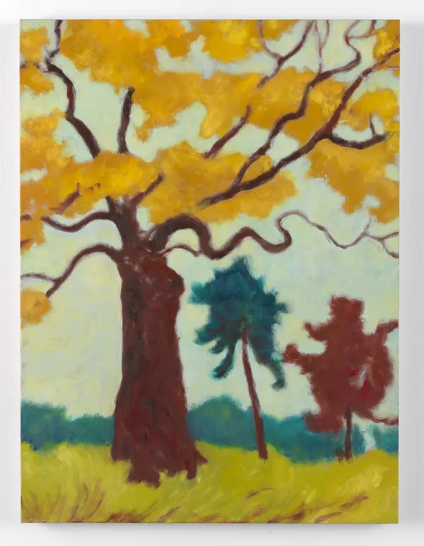 Sammi Lynch, Golden Oak, 2026