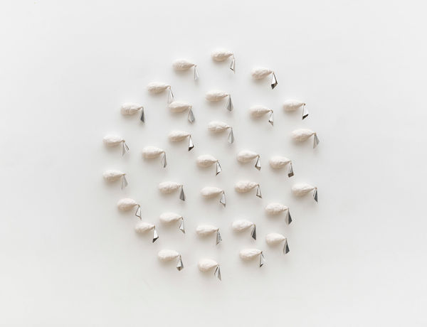 Gabriella Marinho, Ibis, 2025