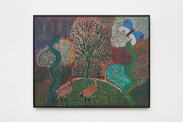 Grauben do Monte Lima, Pássaros e borboletas na floresta, sem data [undated]