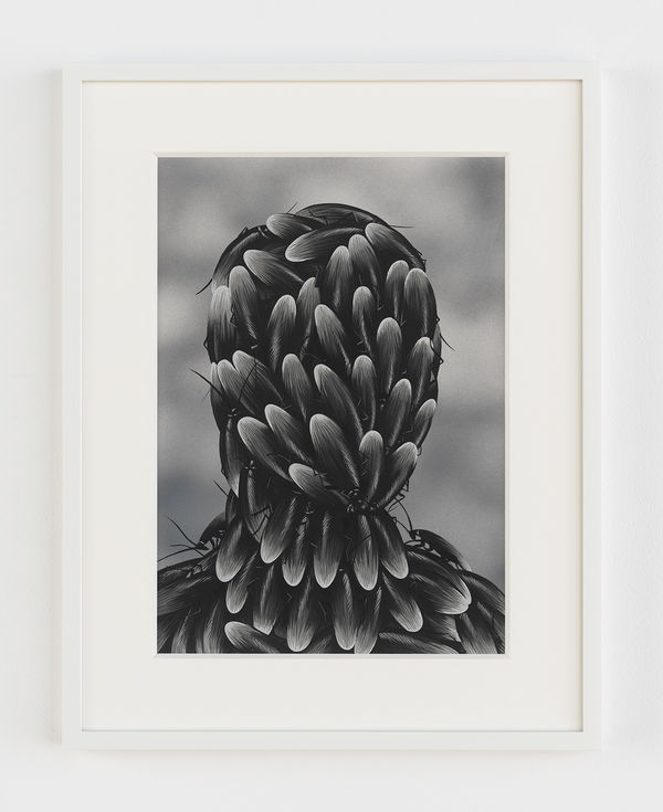 Julie Curtiss Eclosion, 2019