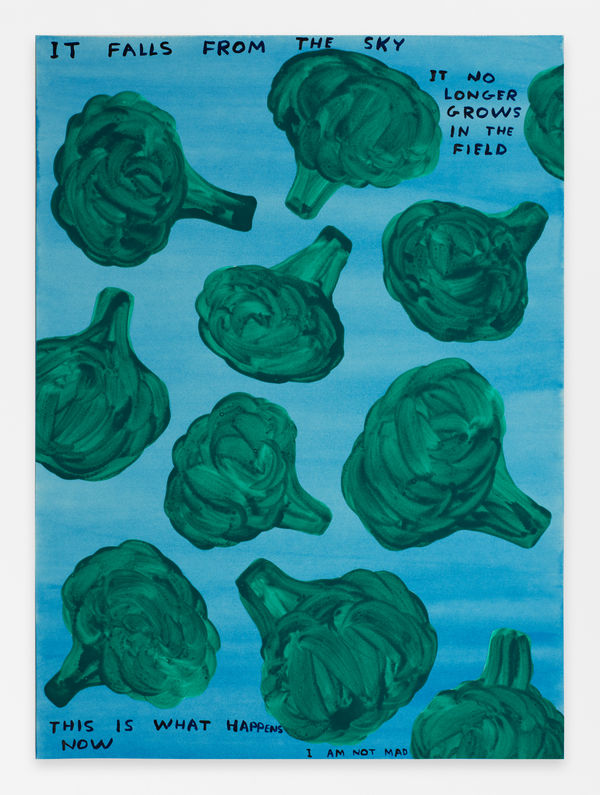 David Shrigley Untitled (It Falls From The Sky), 2023