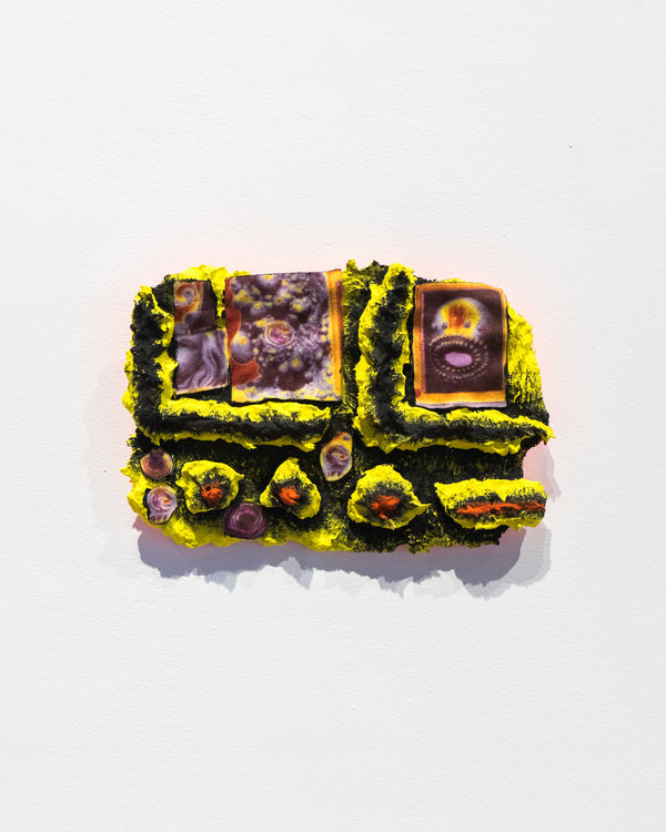 Kari Cholnoky Head, 2018