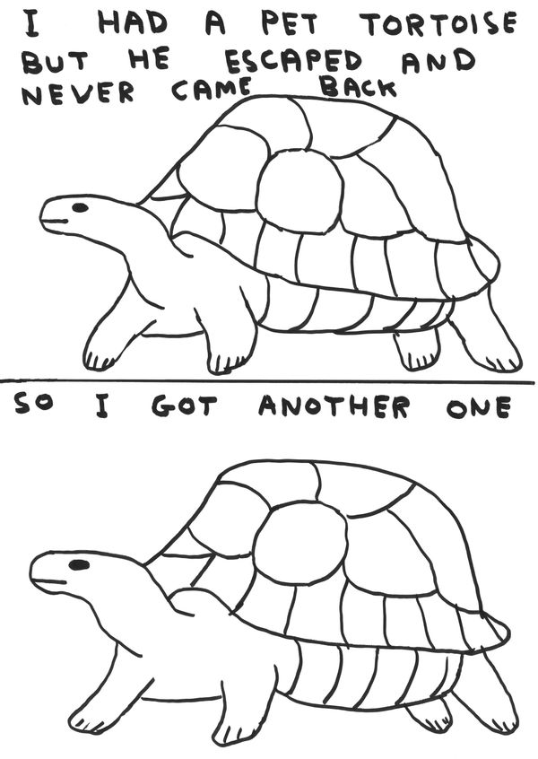 David Shrigley Untitled (I had a pet tortoise), 2019
