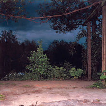 Sarah Jones The Gardens/London (I), 2002