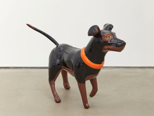 Will Boone Good Boy, 2022