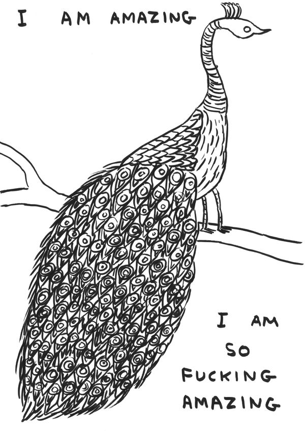 David Shrigley Untitled (I am Amazing), 2019