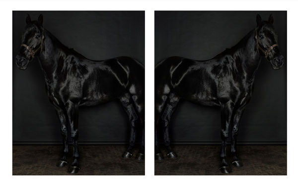 Sarah Jones Horse (profile) (black) (II/I) and (II/II), 2013