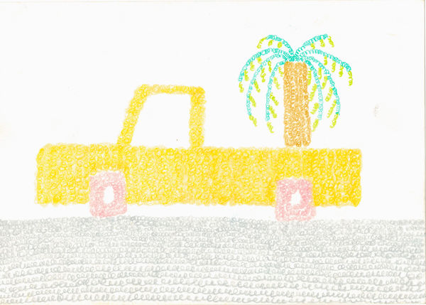 Moving coconut tree on a pick up truck