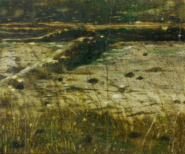 AN Gyungsu, Reclaimed Land 간척지, 2016