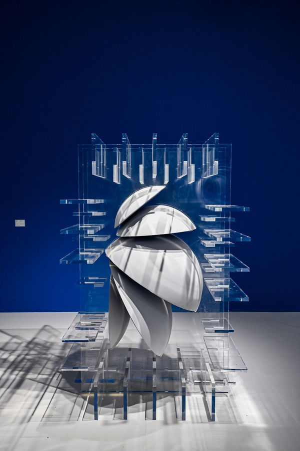 KIM Byoungho, Symmetric Garden - AB01, 2025