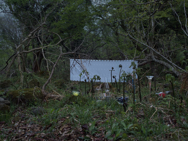 PARK Youngsook, Tears of a Shadow #2 그림자의 눈물 #2, 2019