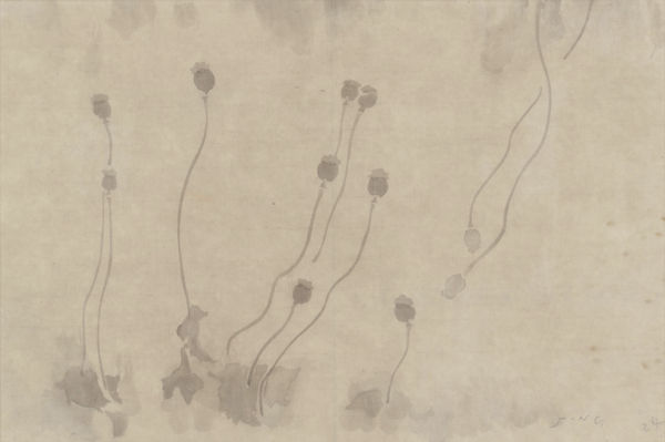 JING Shijian, Poppy 罂粟, 2019