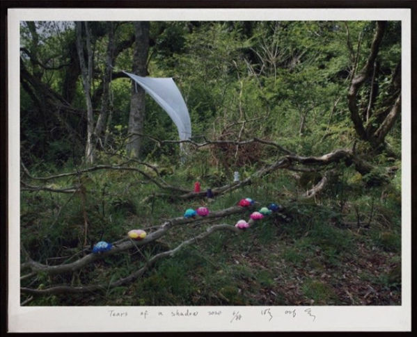 PARK Youngsook, Tears of a Shadow SP Edition 그림자의 눈물 SP Edition, 2019