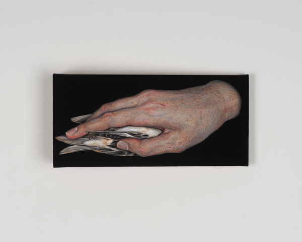 LEE Jinju, Black Warmth 검은 온기, 2026