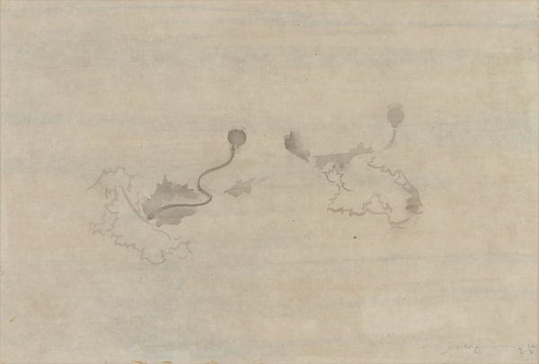 JING Shijian, Poppy 罂粟, 2019