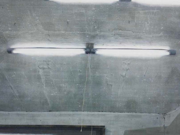 AN Gyungsu, Fluorescent Lamp 형광등, 2013