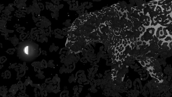 LEE Seung Ae, The Road 더 로드, 2025