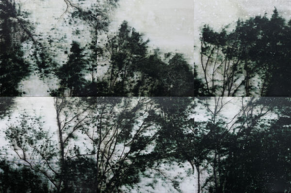 AN Gyungsu, A Windy Day 바람이 부는 풍경, 2019