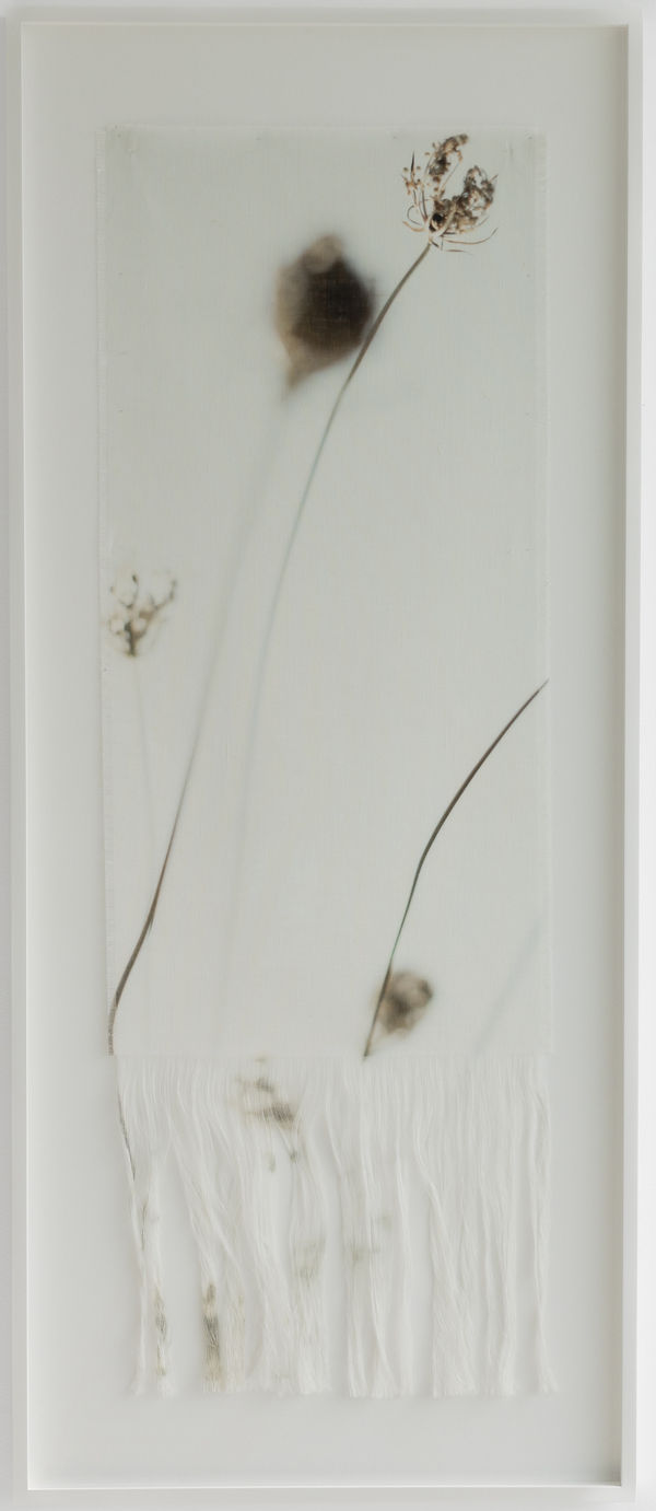 Cas Friese, Fragment no. 5318, 2023