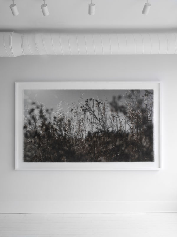 Cas Friese, linen no. 8879, 2022