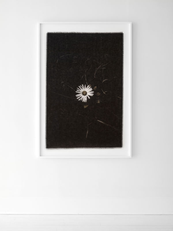 Cas Friese, linen no. 5635, 2022