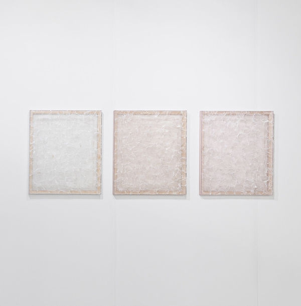 Rosalind Tallmadge, Gradient Blush, 2024