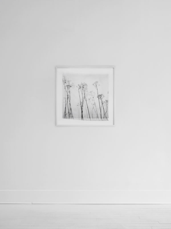 Cas Friese, linen no. 6292, 2022