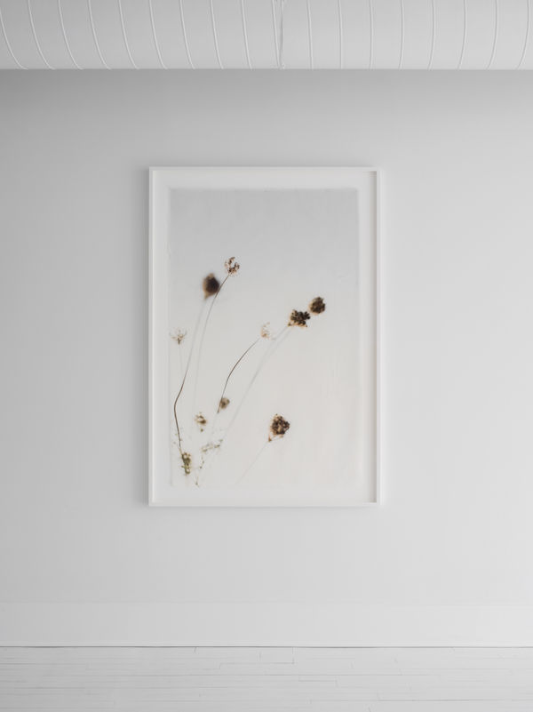 Cas Friese, linen no. 5318, 2022