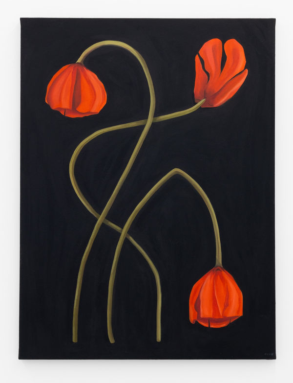 Ben Ewing, Coronaria, 2025