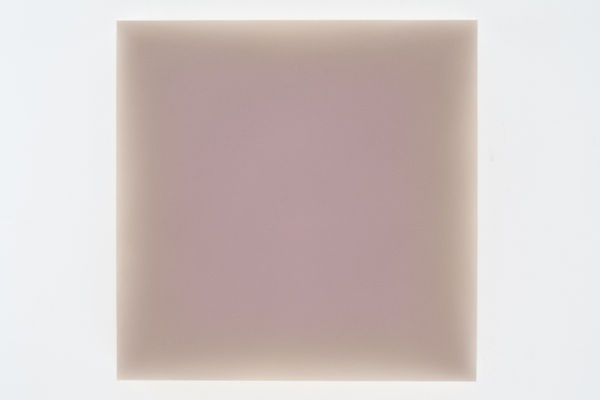 Gwen Hardie, 06.19.23, lavender on warm umber, 2023