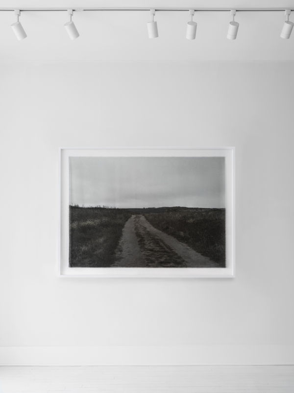 Cas Friese, no. 1242, 2021