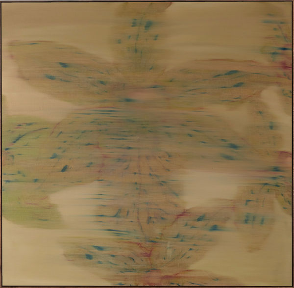 Heath Wae, Honey Medicine from the Blossoms Wine, 2025