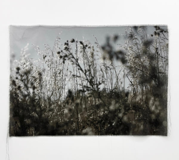 Cas Friese, As You See It , 2025